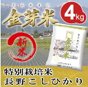 【新米】特別栽培米4kg【2kg×2袋・送料込】【30年産】...