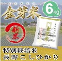 【新米】金芽米 特別栽培米6kg【2kg×3袋・送料込】【3...