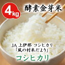 酵素金芽米JA上伊那 コシヒカリ 「風の村米だより」コシヒカ...