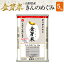 金芽米　山形県産　きんのめぐみ5kg【送料込】【令和元年産】※BG無洗米・免疫ビタミンLPS（リポポリサッカライド）が豊富（きんめまい・お米）【ギフト おすすめ】