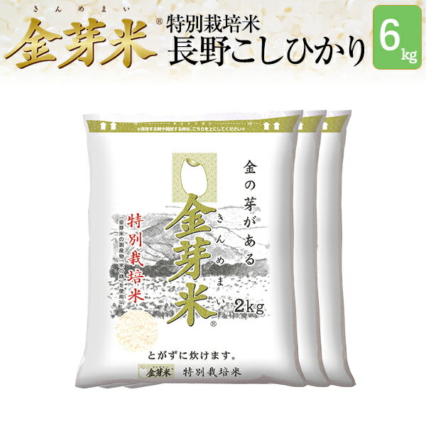 【新米】金芽米 特別栽培米 長野県産コシヒカリ6kg【2kg×3袋・送料無料】【令和...