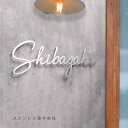 【クーポンあり!】表札 アイアン 表札 ステンレス オーダーメイド 切り文字 ゴールド 戸建 戸建て 門柱 玄関 かわいい コンパクト 小さい 立体 二世帯 2...