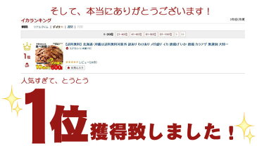 いかせんべい 600g メガ盛り 送料無料 無選別のわけありおせんべい おつまみ あて つまみ ギフト 感謝 ありがとう　父の日　食べ物　お中元　保存食 個包装 日持ち　食品 お返し　せんべい お菓子　贈り物　お取り寄せ