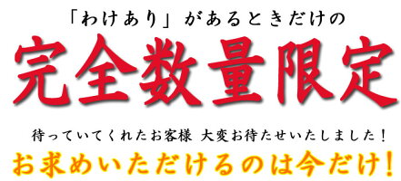 オリジナルえびせんべいえびせん海老せんべいきらら