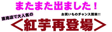 賞味期限2020年1月28日まで！訳あり ほんのり甘いさつまいものおせんべい 紅芋 せんべい わけあり 訳あり べにいも いも 芋 おせんべい 保存食 400g ぽっきり ポッキリ