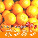 【送料無料】【訳あり】ポンカン 5Kg