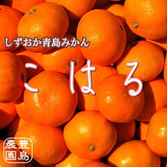 https://thumbnail.image.rakuten.co.jp/@0_mall/toyoshima-nouen/cabinet/img60611013.jpg