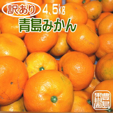 大きさに、バラつきはありますが、 味は変わりません！青島みかんの訳...