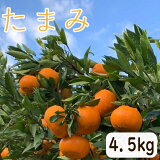 ̵ۤޤߡ4.5kg󥸷Ϥ֤䤫ʴŤ