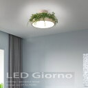 ＼設立60年感謝記念／　Giorno Leaf　シーリングランプ 照明 間接照明 天井　リモコン　北欧 1灯 led ペンダントライト インテリア 照明 おしゃれ 照明器具 ライト かわいい キッチン DI CRASSE ディクラッセ ジョルノリーフ