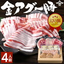 幻の豚 金アグー豚 沖縄でしか生産されていない貴重な豚肉のセット 約4人前 11,000円 ギフト ロース250g バラ250g 赤身肉（ウデもしくはもも）250g ハンバーグ（4個） ソーセージ（12本入） 餃子（12個入）