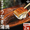 特大!!200g/1尾 うなぎ 蒲焼 国産 愛知県産 2尾セット 鰻 冷凍便 土用丑の日 誕生日 お中元 お礼 内祝 父の日 ギフト 詰め合わせ 食べ物 鰻 蒲...