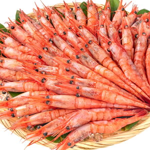 送料無料 甘海老 甘エビ 1kg お刺身用 大きい3Lサイズ 業務用 メガ盛り15人前。船上で瞬間冷凍なので鮮度抜群!【あまエビ 甘海老 甘エビ 甘えび あまえび アマエビ 海老 エビ 築地市場 豊洲市場 刺身 バーベキュー】