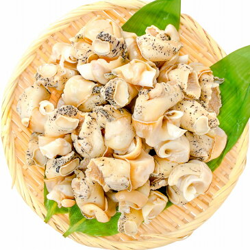 送料無料 ボイルつぶ貝 ツブ貝 Lサイズ 1kg たっぷり食べるならかなりお得【つぶ ツブ つぶ貝 ボイルツブ貝 刺身 寿司 おでん 豊洲】【smtb-T】r