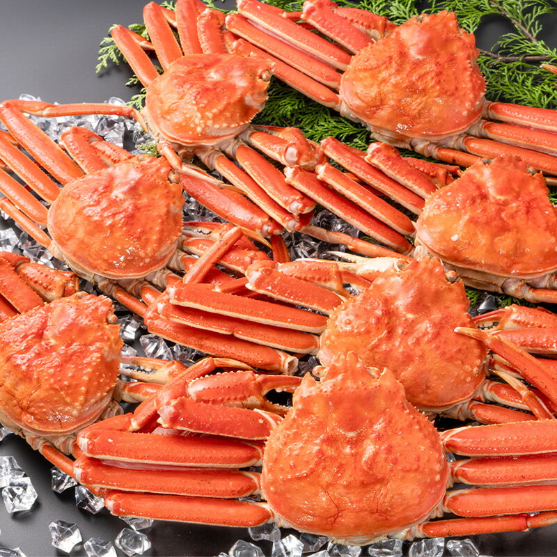 訳あり ズワイガニ 姿 合計6kg前後 10〜14尾 3kg×2箱 冷凍ゆでがに 本ズワイガニ ボイル冷凍 ズワイ蟹 ずわいがに かに カニ 蟹 ずわい蟹 豊洲...