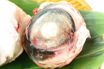 送料無料 まぐろ目玉 1個 鮪はDHAやコラーゲンたっぷり、肉付きが良いマグロの目玉【まぐろのめだま 鮪 まぐろ マグロ メバチマグロ メバチまぐろ めばちまぐろ 目鉢まぐろ コラーゲン 築地市場 豊洲市場 ギフト】