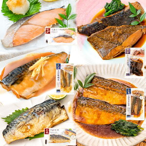 送料無料 煮魚セット 魚菜パックセット×2 合計10パック 銀鮭塩焼 さば塩焼 さば味噌煮 さば煮付け かれい煮付け 焼き魚 塩焼き 煮付け 切り身 煮魚 鮭 サケ しゃけ さけ さば サバ 鯖 かれい カレイ ファストフィッシュ レトルト おかず お惣菜 調理済み 業務用 豊洲市場