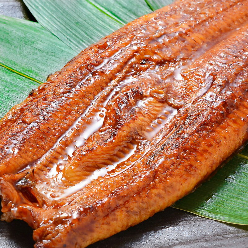 送料無料 超特大 うなぎ蒲焼き 平均