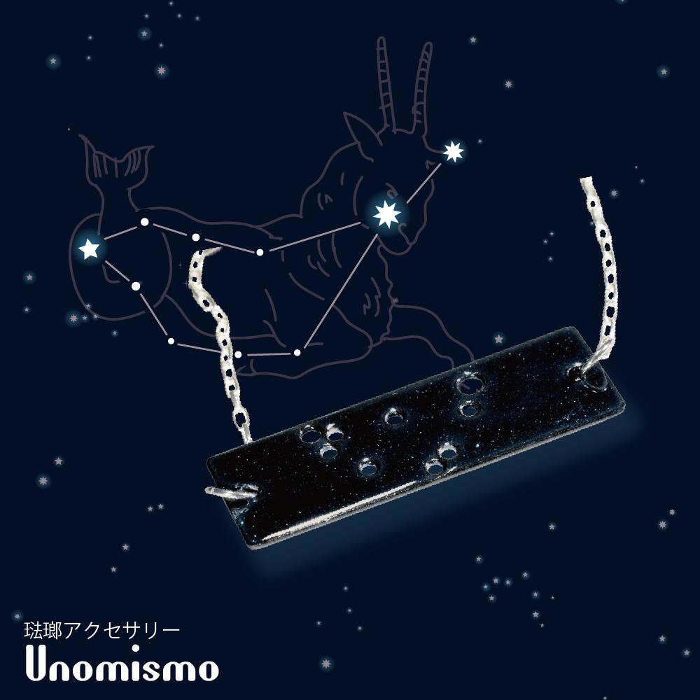 CAPRICORN 山羊座【Astrocolors(アストロカラーズ)】【Unomismo公式】【送料無料】スパークルブラック ラメ やぎ座 Unomismo公...