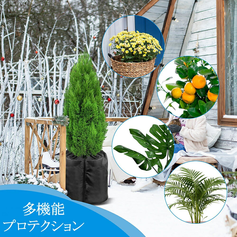 2�祻�å� ��ʪ�ݸ�С� �ɴ����С� ��ʪ�ݲ��� �ۿ��������ǥ�ץ��ƥ����� �����к� �̼��ݸ� ���� ���� �����ѥ��С� ������ѵ��ݲ������� �ߵ������ǥ˥�ɬ���� �ݸ���� ��ݻ�� �����ǥ˥����� �߻��� �����ǥ��ɸ�����