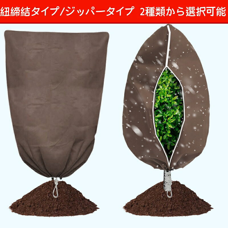 ����ŷ1�̡�2�ĥ��å� ��ʪ�ɴ����С� �����ݲ��Կ��ۥ����ǥ�ץ��ƥ����� �ɿ��������� ¿����������� ���ڡ��֡�����ݸ�С� �ߤα��ɬ����