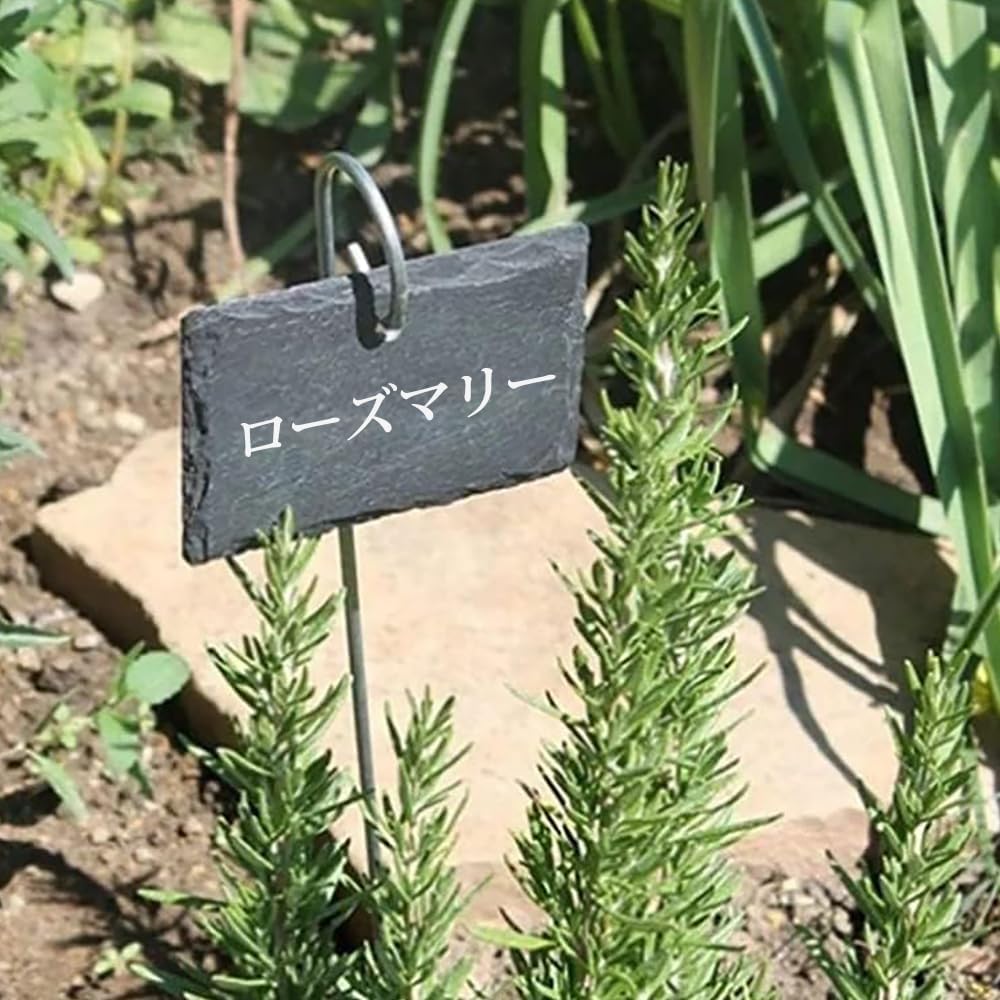 ＼楽天スーパーSALE割引中／園芸ラベル 10本セット 植物ラベル 黒 ネームプレート ...