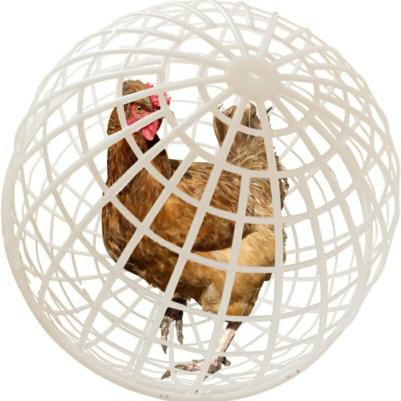 3個セット ペット用 分解式セーフティケージ 球形ローリングフェンス 屋外用 軽量プラスチック製 移動可能 ガーデン 農場 中庭対応 安全歩行ネット 小動物保護ケージ うさぎ ひよこ あひる対応 犬 猛禽類対策 噛み付き防止 放し飼いサポート 飼育用囲い フェンスケージ