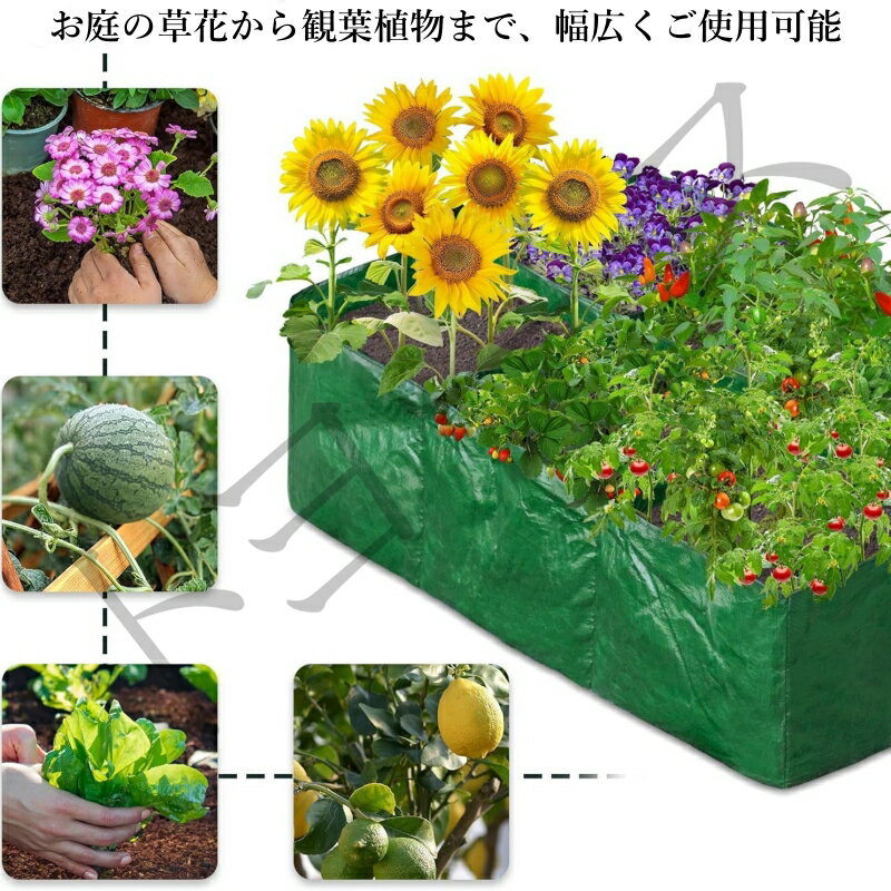 2個セット 栽培用 グリッド柄 PE素材 プランティングバッグ 大容量 植物栽培袋 野菜 花卉 用途多彩 プランター代替 軽量 丈夫 通気性 排水性 育苗対応 ガーデニング用品 家庭菜園 ベランダ栽培 屋外 室内 兼用 繰り返し使用可能 省スペース 園芸コンテナ 実用モデル