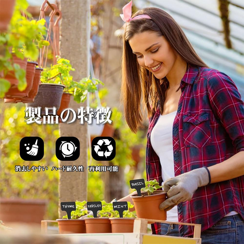 ��ݥ�٥� ��ʪ���� ��ʪ��٥� T����٥� 100������ ��� ���� ȭ�� �����ǥ˥� �ƻ��Ѳ�ǽ �����ǥ˥� ���� �ߥ˹��� ����ƥꥢ ������� �ߺϥ��� ���� ȭ�� �ƻ��Ѳ�ǽ �ɿ�ù� �񤭹��߲�ǽ ������� �������� ȭ�Υǥ��졼�����