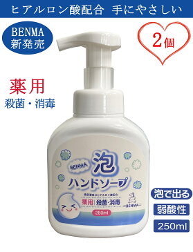 BENMA 日本製 薬用 手にやさしいハンドソープ（2個セット）泡タイプ かわいい ボトル ポンプ ヒアルロン酸配合 250mlギフト 家庭用 業務用（詰め替え用ではありません）