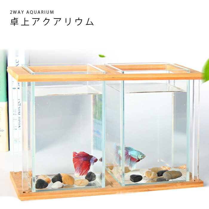 メダカや金魚などのおしゃれな水槽 玄関やリビング向けのインテリア水槽のおすすめランキング わたしと 暮らし