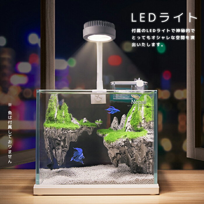 送料無料 天空の城 LEDライト付き フィルターポンプ付き水槽セット夏休み アクアリウム オーナメント 自由研究 LED照明 水槽セット 卓上 玄関 リビング LEDランプ 水槽セット 小型 AQUARIUM すいそう おしゃれ かわいい オブジェガラス 熱帯魚