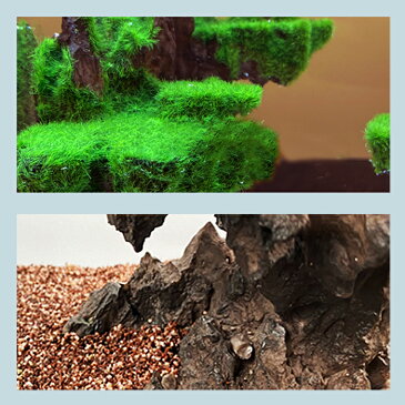 【送料無料】天空の城4(縦長タイプ) LEDライト付き水槽セット アクアリウム フィルターポンプ付きオーナメント 自由研究 夏休み LED照明 金魚鉢 卓上 AQUARIUM すいそう おしゃれ かわいい オブジェ ガラス 円柱 丸形 金魚 メダカ 熱帯魚