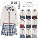 制服6点セット Vネック ニット スクール カーディガン レディース 入学 通学 高校生 中学生 女子高生 制服 セット スカート ブレザー プリーツスカート ...