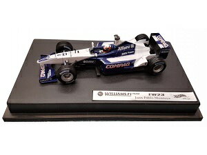 HOT WHEELS HOT WHEELS 1/43 EBAY FW23 #6 Juan Pablo Montoya 2001 No.50212 MATTEL [≮]