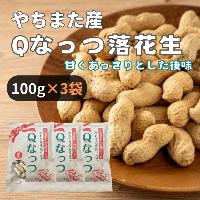 ＜やちまたフーズ＞ 千葉県八街産 Qなっつ 100g×3袋 おつまみ 厳選 無塩 無添加 高級 ナッ ...