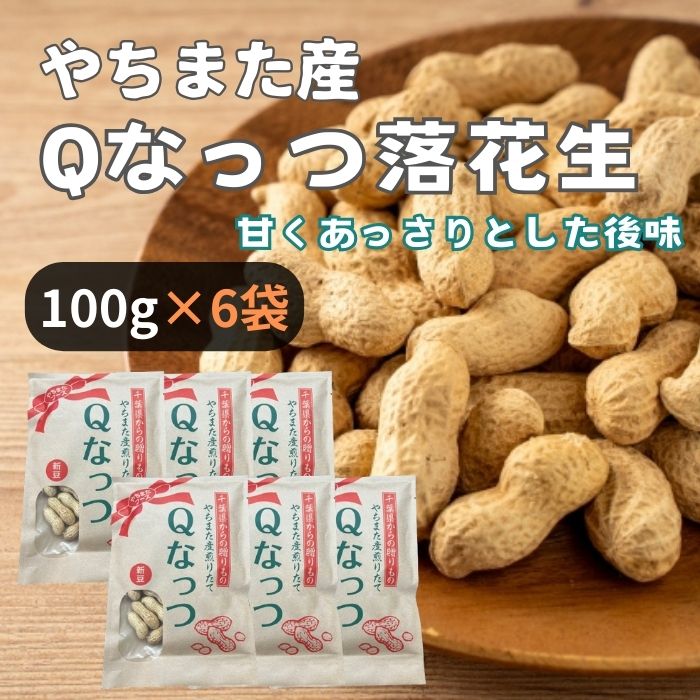 ＜やちまたフーズ＞ 千葉県八街産 Qなっつ 100g×6袋 おつまみ 厳選 無塩 無添加 高級 ナッツ お試し 素煎り お土産 やちまた産 落花生 大容量