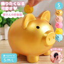 【限定価格!!】貯金箱 ぶた ブタの貯金箱 おしゃれ 500円玉 かわいい 子供 ブタ 雑貨 ブタ貯金箱 小銭硬貨