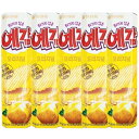 【5袋セット】オリオン イェガムオリジナル 64g ジャガイモ スナック スナック菓子 お菓子 韓国お菓子 ポテト 韓国お土産