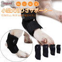 中小型犬用足根関節サポーター ショートサポーター リハビリホック 片足...(4)