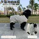 ＼200円OFFクーポン有／犬用 猫用 術後服 イヌネコキ