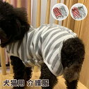 犬猫用 術後服 四脚 秋冬 最適厚手タイプ 術後着術後ウェア 傷口舐めない 皮膚 避妊 去勢 皮膚保護 傷舐め 傷口保護 おむつ 男女用 犬 イヌネコキャット 使いやすい 背中ボタン開き ロンパース ボーダー エリザベスカラーの代用 中小型犬用 ネコポス送料無料！[ra24910]