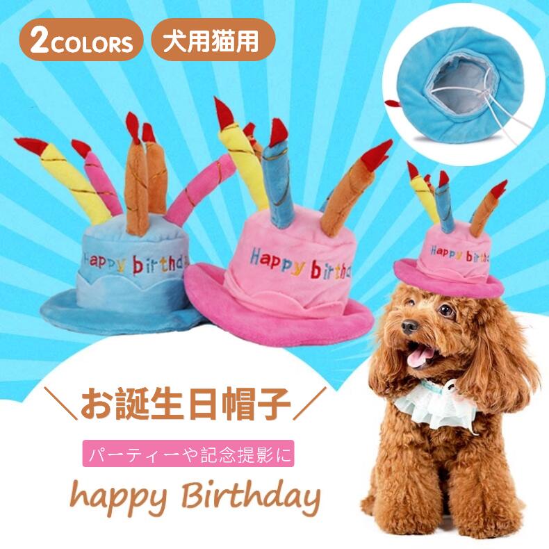 お誕生日の記念撮影 通常便なら送料無料 ネコポス送料無料 NEWデザイン 犬用お誕生日パーティ帽子 犬帽子 ハッピーバースデーハット バースディ かぶりもの 仮装 コスプレダックス ドッグウェア プードル 新年 ギフト プレゼント クリスマス チワワ 犬の洋服 ra80806 お誕生日の記念撮影 通常便なら送料無料 ネコポス送料無料 NEWデザイン 犬用お誕生日パーティ帽子 犬帽子 ハッピーバースデーハット バースディ かぶりもの 仮装 コスプレダックス ドッグウェア プードル 新年 ギフト プレゼント クリスマス チワワ 犬の洋服 ra80806