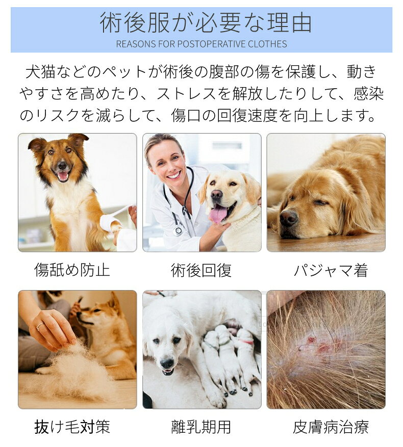 ǭ���ѽѸ��� �դ������� ǭ �Ѹ奦���� �ͥ� ����å� �Ѹ��� �Ѹ奦���� �����ݸ� ���Ӥ��ɻ� �����ݸ� Υ���� ��Ѹ� ��ǥ ���� ���� ����� ���ꥶ�٥����顼������ ���ե����� ư���䤹�� ǭ����� ǭ�� ��æ��ñ �̵��� æ���ˤ��� �ͥ��ݥ�����̵����[ra52011]