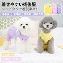 プリンセスキャップ 犬用耳開き帽子 犬 帽子 ペット用 犬用 ハット キャップ バイザー ドッグハット 耳穴あり 熱中症対策 夏バテ 日射病 日よけ つば付き 涼しい かわいい 超小型犬 小型犬 イヌ いぬ 猫 ネコ ねこ キャップ 被り物 アウトドア お出かけ 旅行