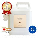 【送料無料】水溶性マッサージオイル FaNoil ファンオイル 5L（約6.1kg）│業務用マッサージオイル マッサージノイル 無香料 国産 日本製 マッサージローション 後始末簡単 水溶性オイル エステ 大容量 グリセリン