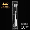 【全国一律 送料無料】業務用使い捨て歯ブラシセット ハミガキ粉チューブ3g付き【50本入り】 国産ハブラシ ホテルハブラシ ビジネスホテル 旅館 民宿 民泊 ビジホ ラブホ 宿泊施設 アメニティ グッズ 客室 使い切り 使い捨て スモールヘッド まとめ買い 大量 大容量 日本製