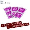 【全国一律 送料無料】 業務用コンドームお試しパック 12個入り Rich リッチ SSサイズ 12枚入り スキン 小分け バラ売り 小分け 小さい フィット ...