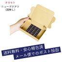 【全国一律 送料無料】業務用コンドームお試しパック 12個入り ニューゴクアツ オカモトコンドーム 極厚 分厚い 厚さ0.1mm 業務用スキン スキン skyn...