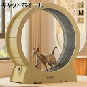 キャット ホイール 猫 猫おもちゃ ランニングホイール キャットウォーク キャット運動 鍛錬 鍛える 猫回し車 ローラーミュート猫 ネコ ホイール 猫のトレッド...
